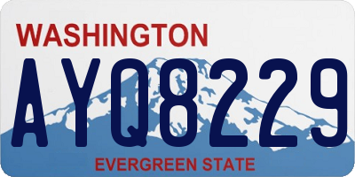WA license plate AYQ8229