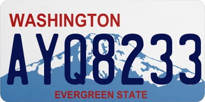 WA license plate AYQ8233