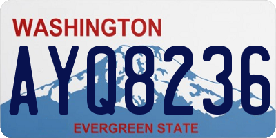WA license plate AYQ8236