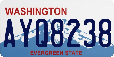 WA license plate AYQ8238