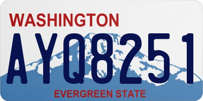 WA license plate AYQ8251