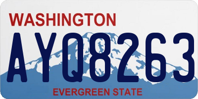 WA license plate AYQ8263