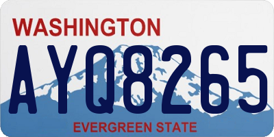 WA license plate AYQ8265