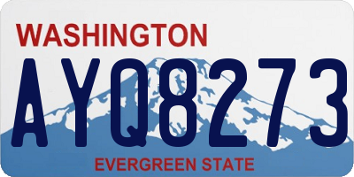 WA license plate AYQ8273