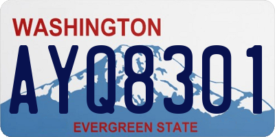 WA license plate AYQ8301