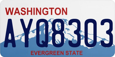 WA license plate AYQ8303