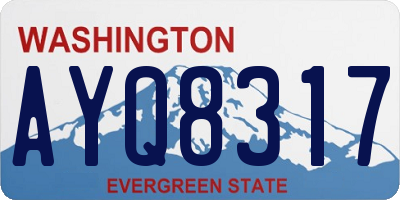 WA license plate AYQ8317