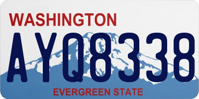 WA license plate AYQ8338