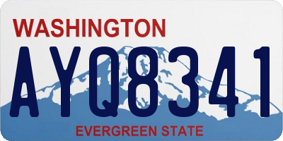 WA license plate AYQ8341