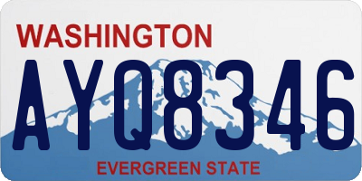 WA license plate AYQ8346