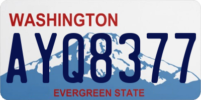WA license plate AYQ8377