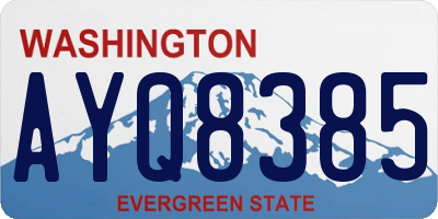 WA license plate AYQ8385