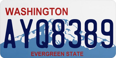 WA license plate AYQ8389