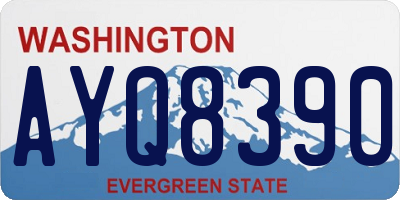 WA license plate AYQ8390