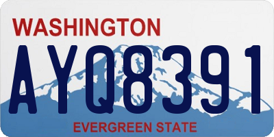 WA license plate AYQ8391