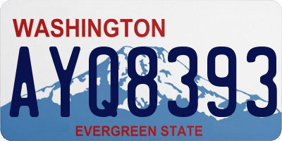 WA license plate AYQ8393