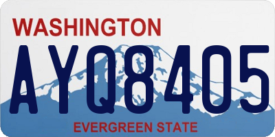 WA license plate AYQ8405