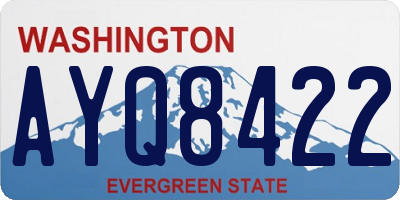 WA license plate AYQ8422