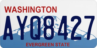 WA license plate AYQ8427