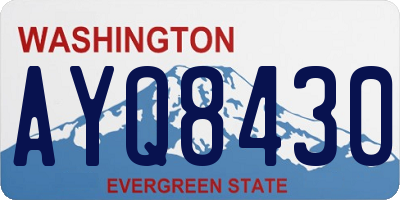 WA license plate AYQ8430