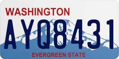 WA license plate AYQ8431