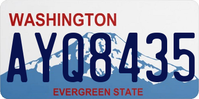 WA license plate AYQ8435