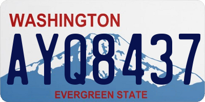 WA license plate AYQ8437