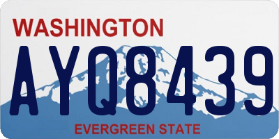 WA license plate AYQ8439