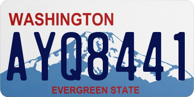 WA license plate AYQ8441