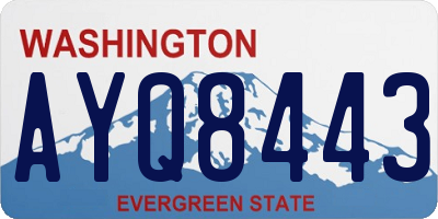 WA license plate AYQ8443
