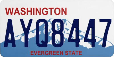 WA license plate AYQ8447