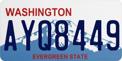 WA license plate AYQ8449