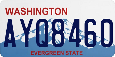 WA license plate AYQ8460