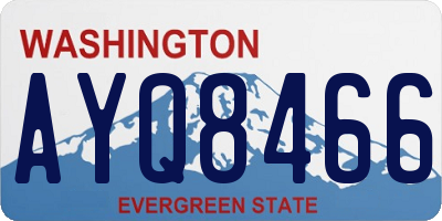 WA license plate AYQ8466