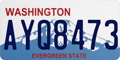 WA license plate AYQ8473