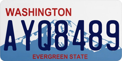 WA license plate AYQ8489