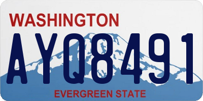 WA license plate AYQ8491