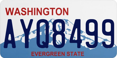 WA license plate AYQ8499