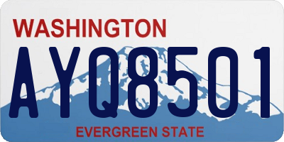 WA license plate AYQ8501