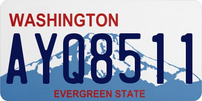 WA license plate AYQ8511