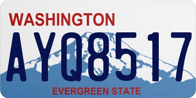 WA license plate AYQ8517