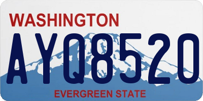 WA license plate AYQ8520