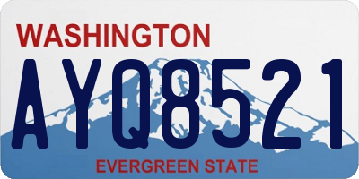 WA license plate AYQ8521