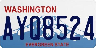 WA license plate AYQ8524
