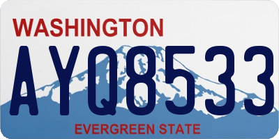WA license plate AYQ8533
