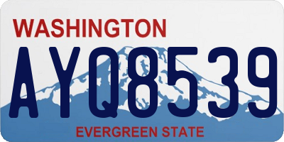 WA license plate AYQ8539