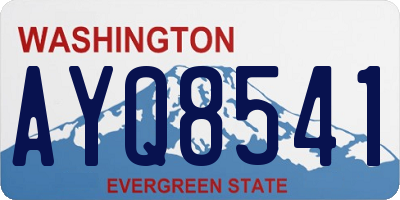 WA license plate AYQ8541