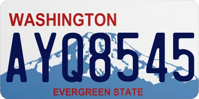 WA license plate AYQ8545
