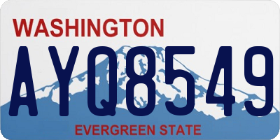 WA license plate AYQ8549