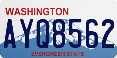 WA license plate AYQ8562
